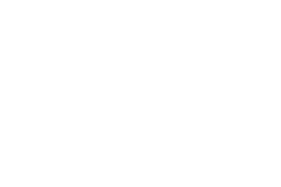 TikTok Icon